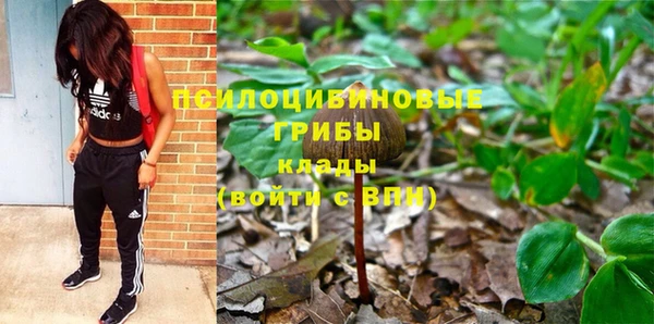 ешки Алексеевка