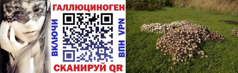Псилоцибиновые грибы GOLDEN TEACHER  наркотики  Сатка 