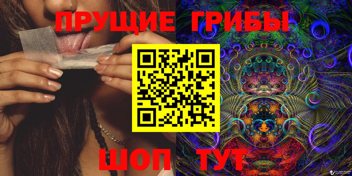 Псилоцибиновые грибы Cubensis  Вход с VPN  Сатка  Галлюциногенные грибы прущие грибы 
