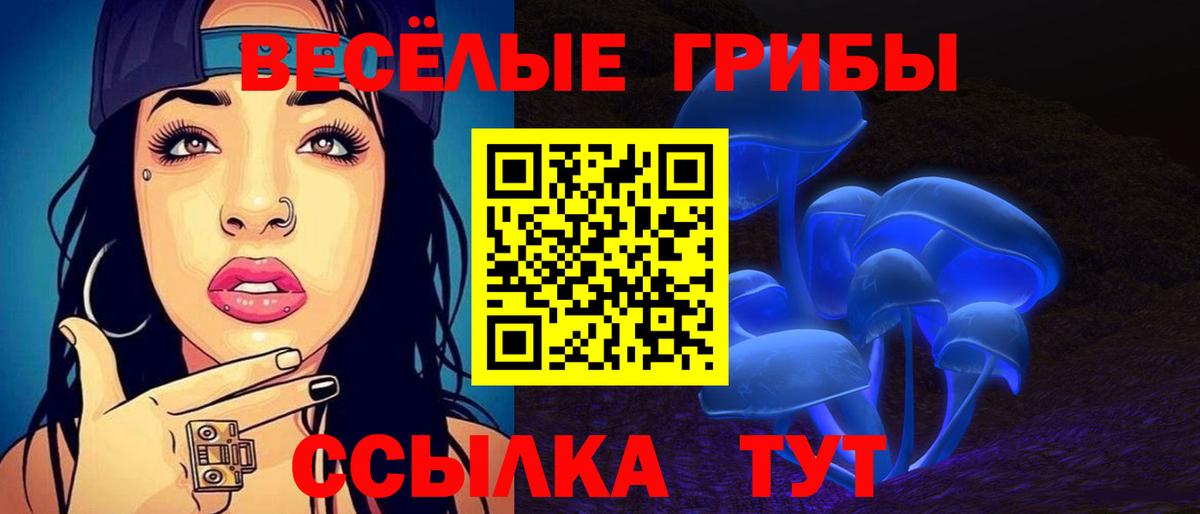 Псилоцибиновые грибы мицелий Сатка